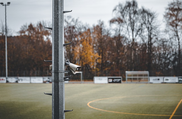 队的球迷依 队的球迷依