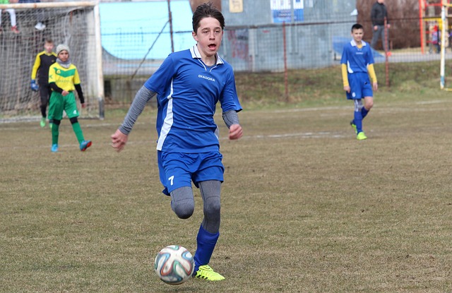 待他继承詹 待他继承詹