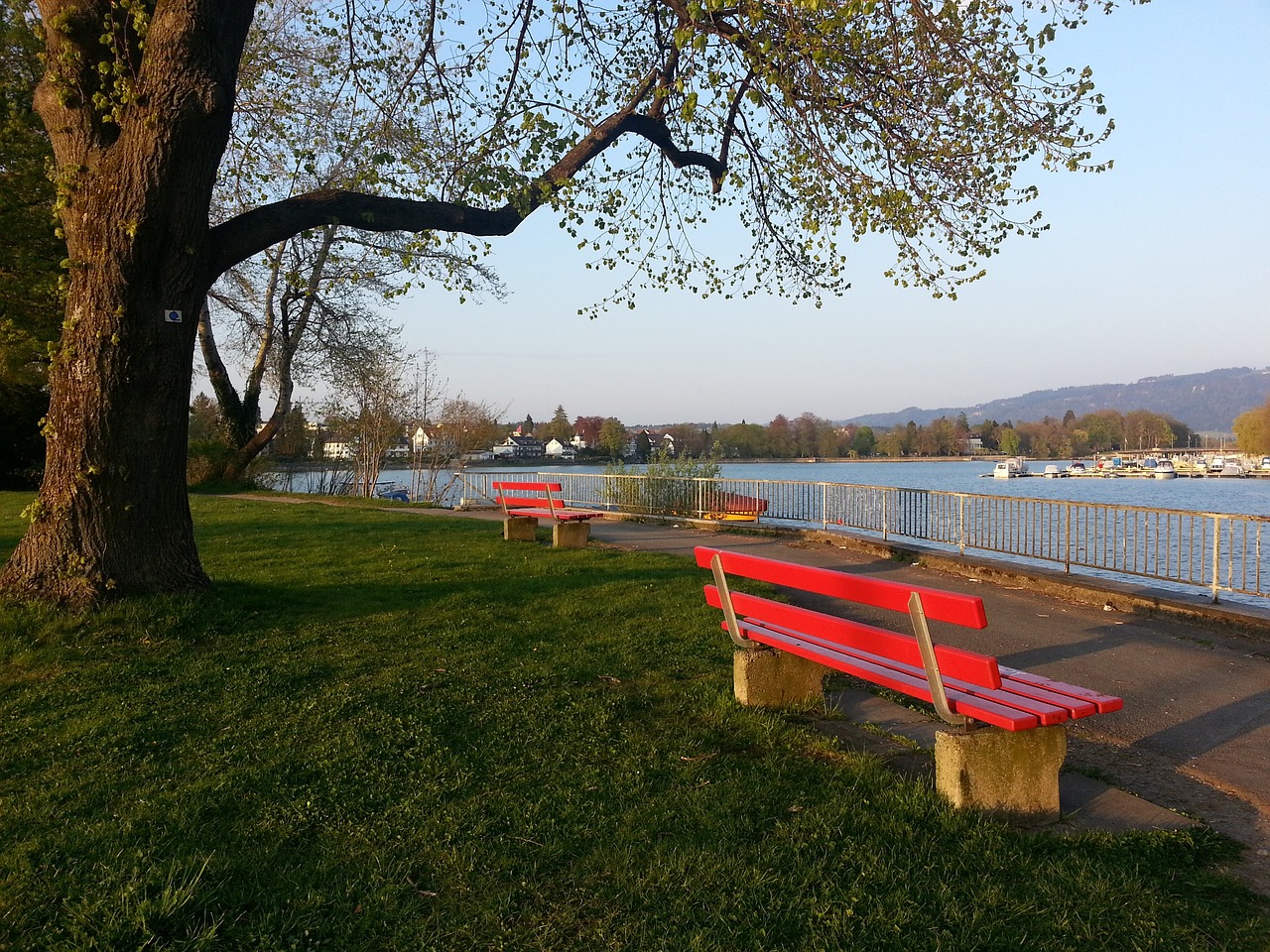 她通过一次 她通过一次