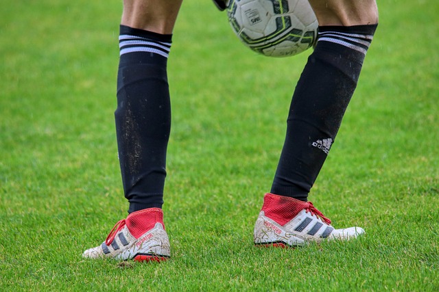 让我们探讨 让我们探讨