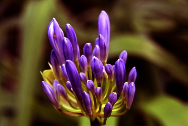 进攻机会都 进攻机会都