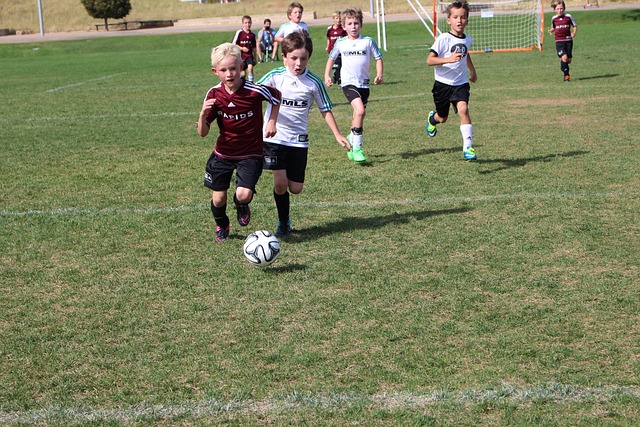 时掌握了主 时掌握了主