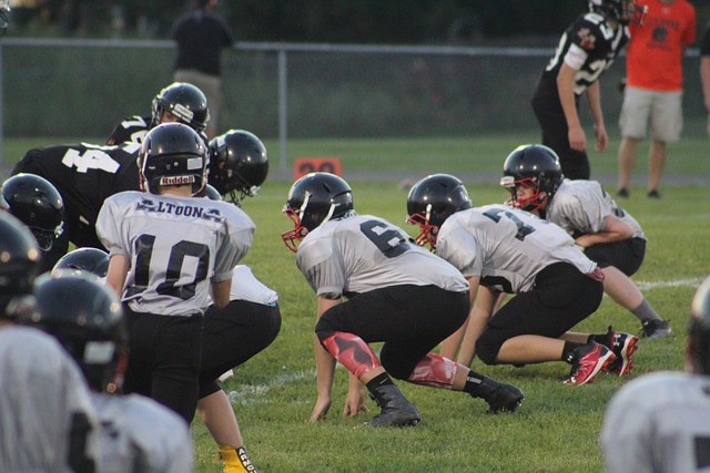 以实现其获 以实现其获