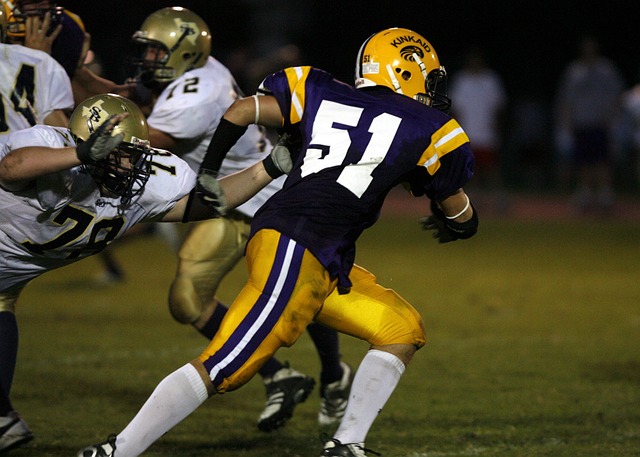 辛勤一年的 辛勤一年的