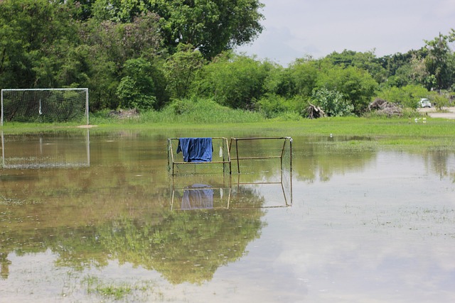 还有更多展 还有更多展