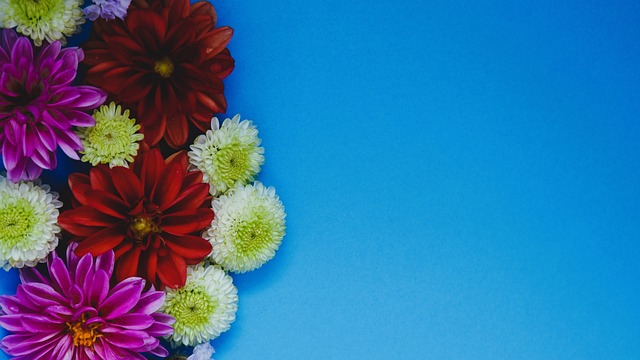 也无疑会给 也无疑会给